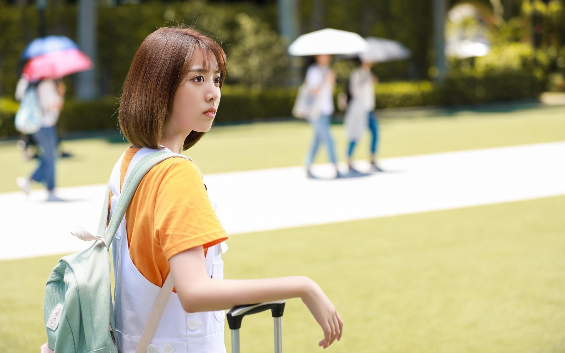 2026年滑雪服品牌推荐:始祖鸟、北面、迪卡侬对比,始祖鸟滑雪服系列